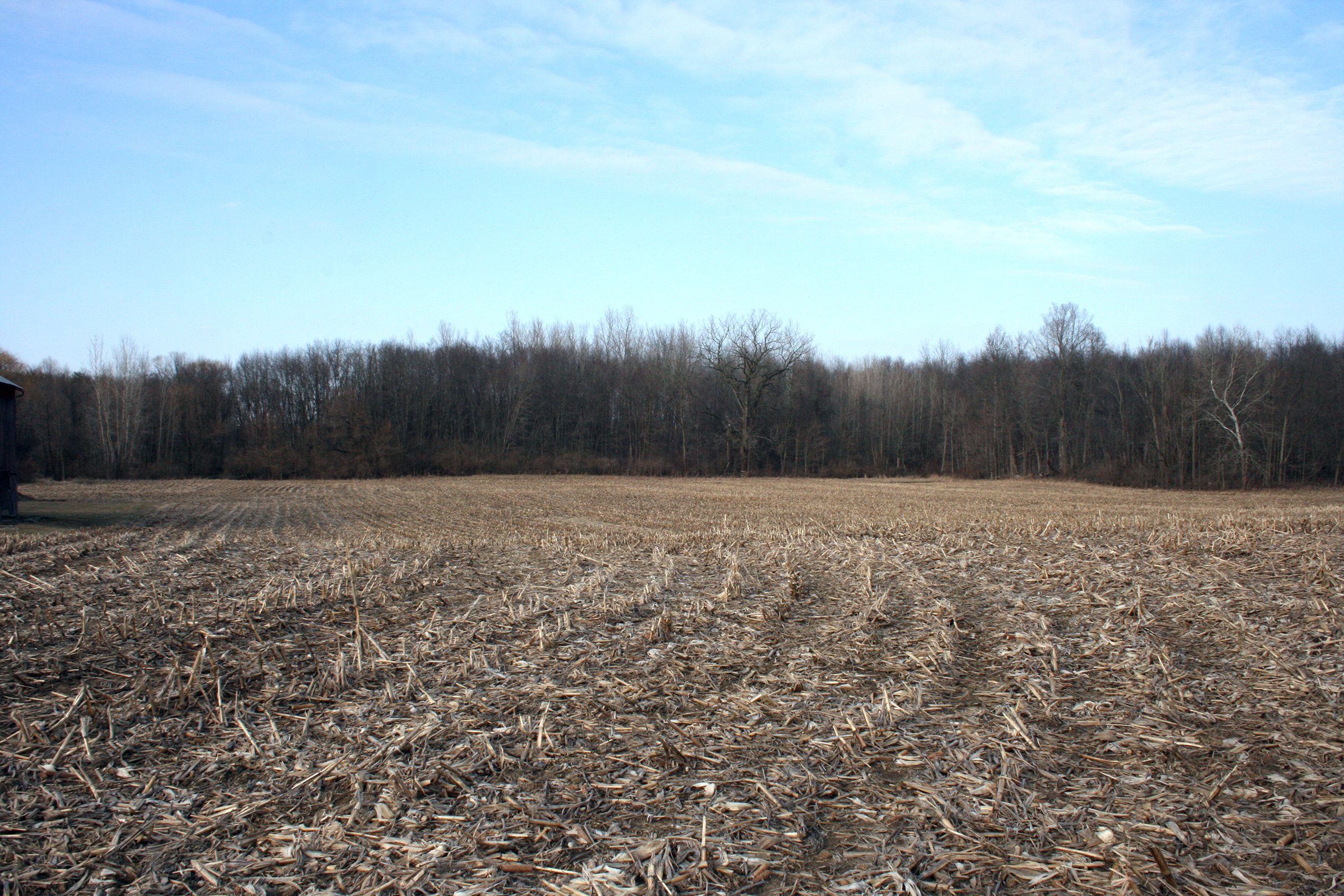 Tract 3 Tillable - REAL ESTATE AUCTION - 84.5+/- ACRES IN 4 TRACTS IN WHITLEY COUNTY, INDIANA